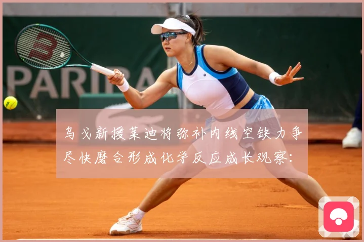 乌戈新援莱迪将弥补内线空缺力争尽快磨合形成化学反应成长观察：最新赛事动态与深度分析
