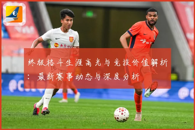 终极格斗生涯高光与竞技价值解析：最新赛事动态与深度分析