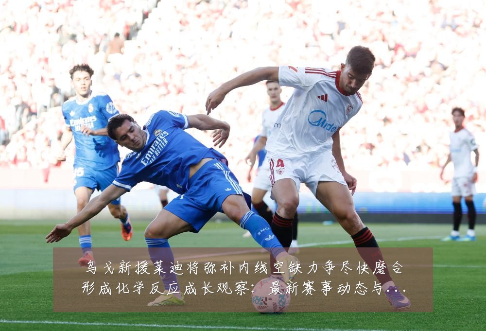 乌戈新援莱迪将弥补内线空缺力争尽快磨合形成化学反应成长观察：最新赛事动态与深度分析